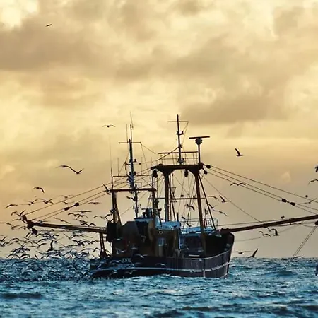 Beach-house27 Сasa de vacaciones Egmond aan Zee