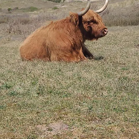 Beach-house27 Holiday home *